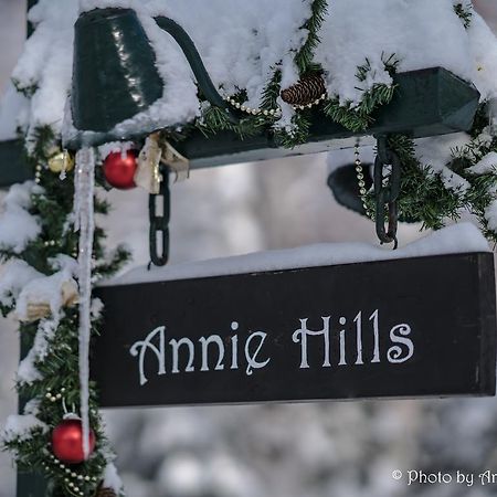 Bed and Breakfast Annie Hills Tateshina  Exterior foto