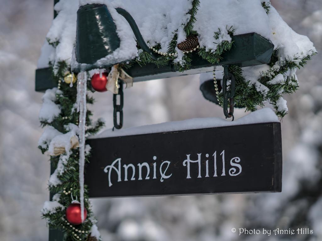 Bed and Breakfast Annie Hills Tateshina  Exterior foto